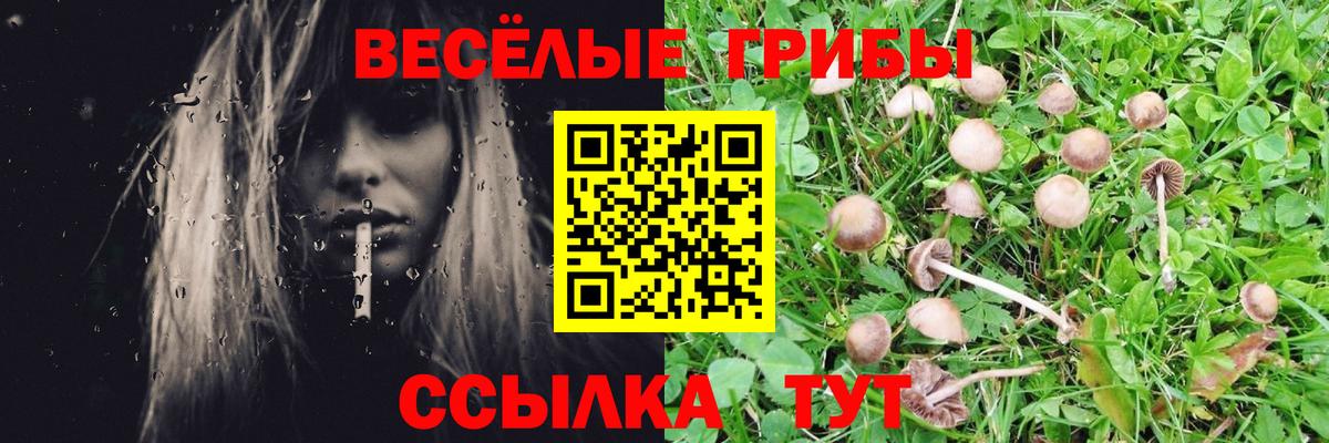 Псилоцибиновые грибы прущие грибы Россошь